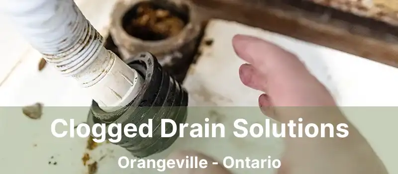  Clogged Drain Solutions Orangeville - Ontario