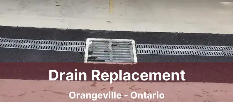 Drain Replacement Orangeville - Ontario